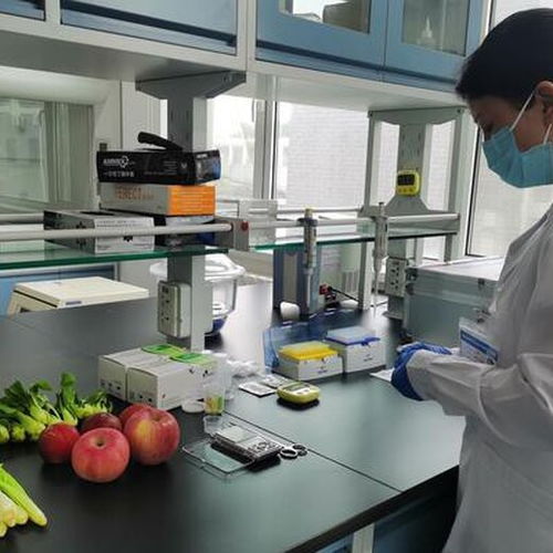 漳州正规圣问技术食品检验员考证培训