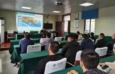 江苏国网批量采购100台国产纯电动皮卡