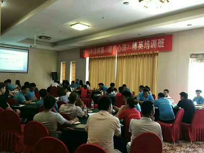 法利莱,培训,销售