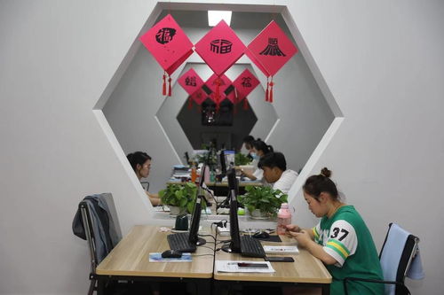 全国网媒看龙江丨齐齐哈尔加快建设 创新龙江 打造数字经济 新蓝海