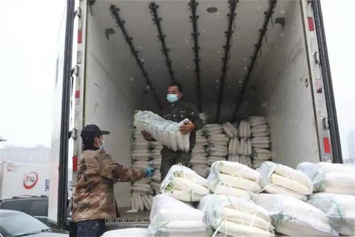 司机点对点运输 员工驻厂管理 园区一小时一消杀丨记者实地探访哈尔滨龙园农产品批发市场